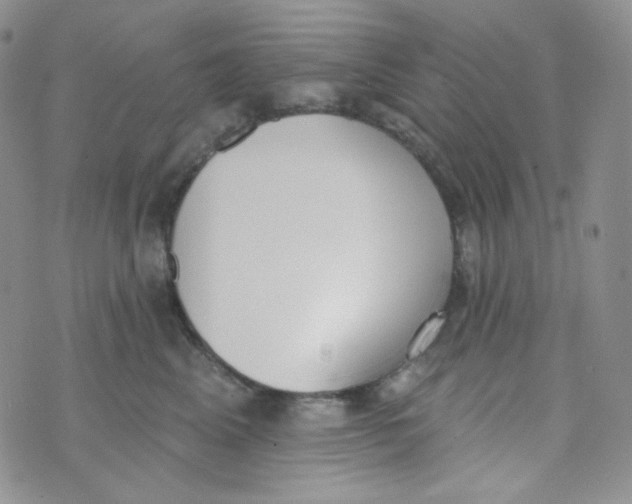 X0000074300617200609151943