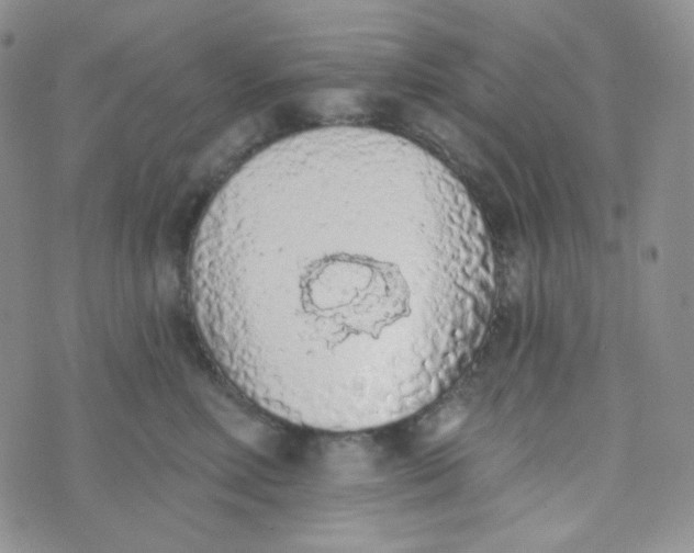 X0000074300618200609151943