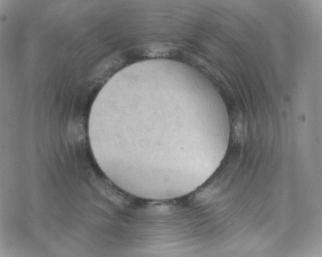 X0000074300620200609151943