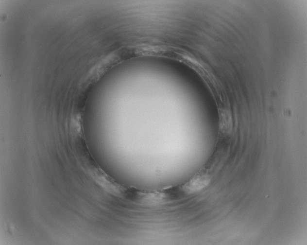 X0000074300621200609151943