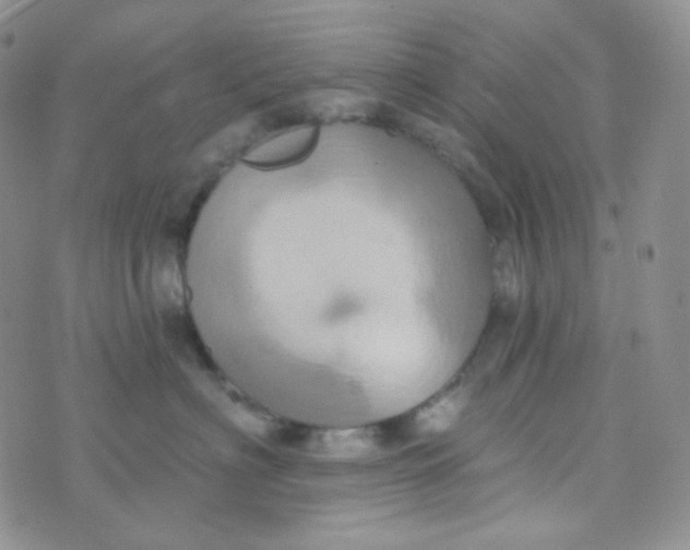 X0000074300622200609151943