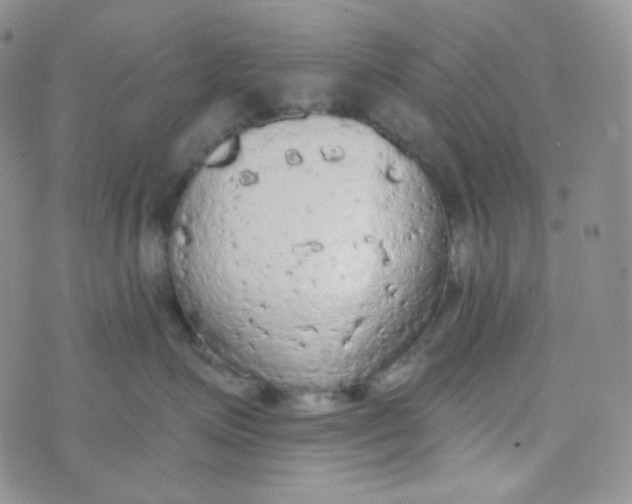 X0000074300623200609151943