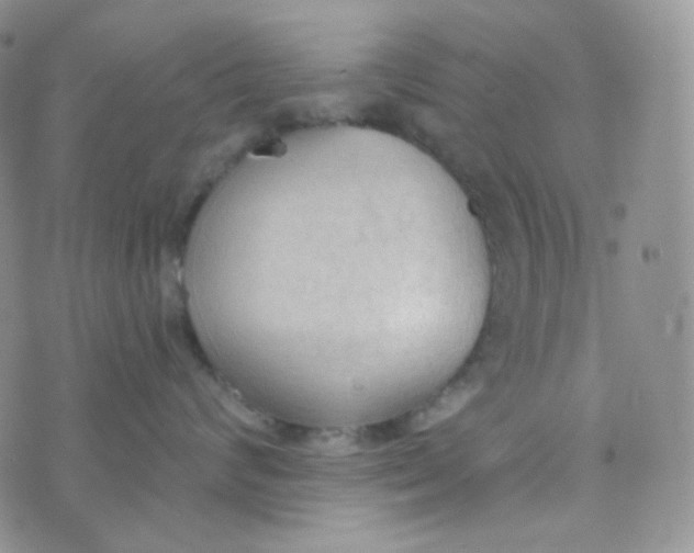 X0000074300624200609151943