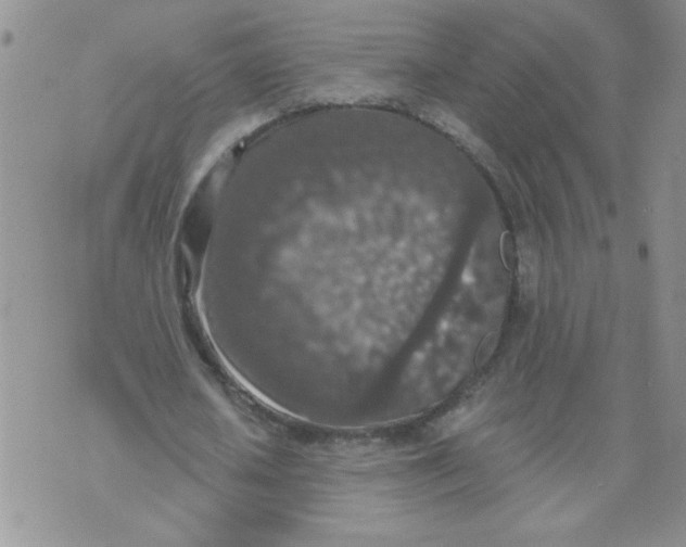 X0000074300626200609151942