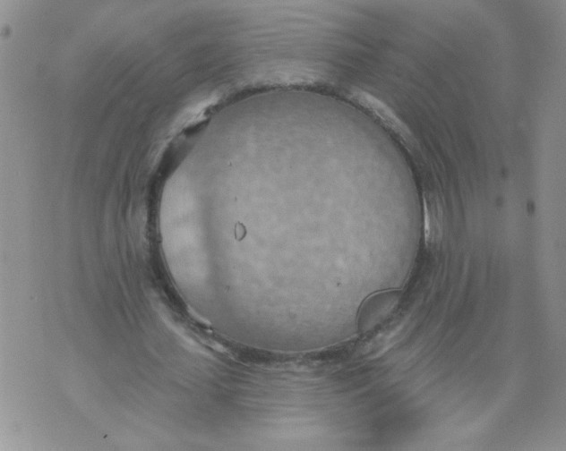 X0000074300627200609151942