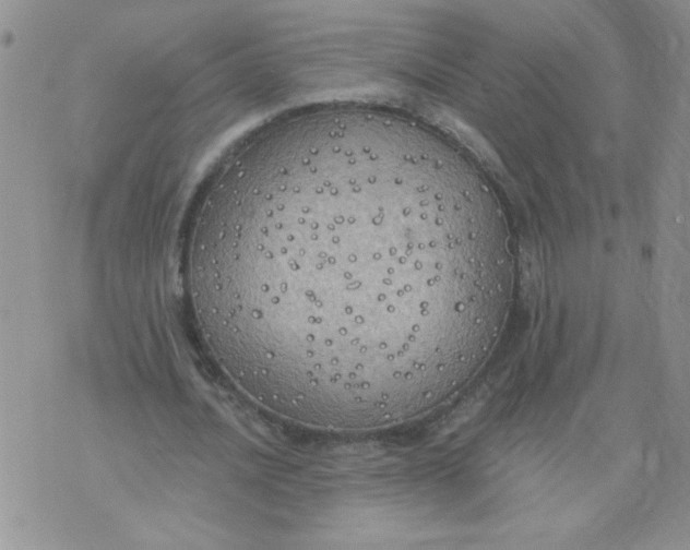 X0000074300628200609151942