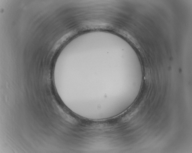 X0000074300629200609151942