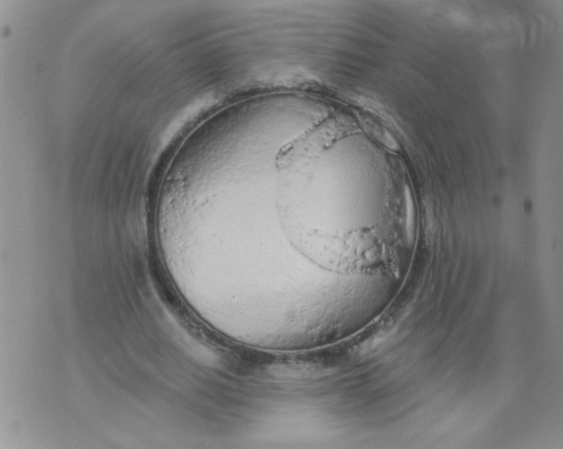 X0000074300630200609151942