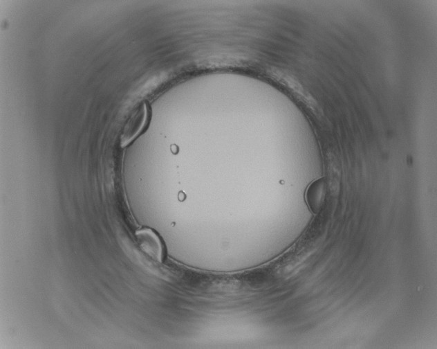 X0000074300631200609151942