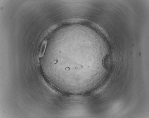 X0000074300633200609151943