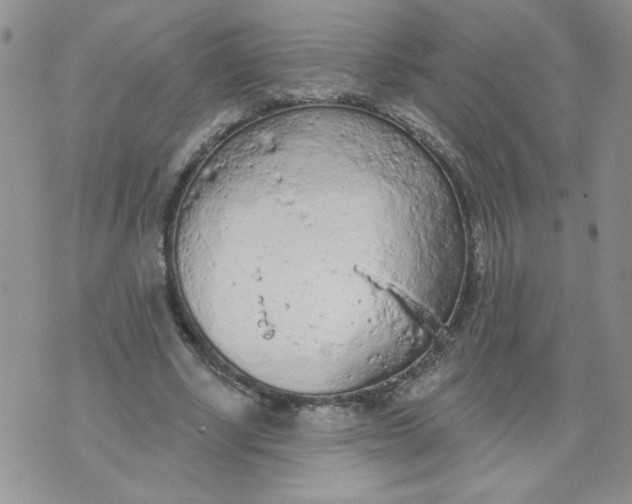 X0000074300634200609151943