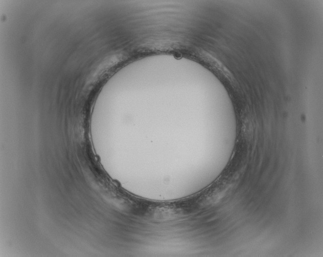 X0000074300635200609151943