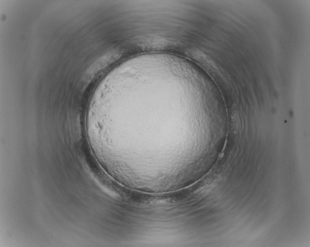 X0000074300638200609151943