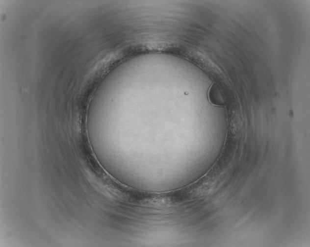 X0000074300639200609151943