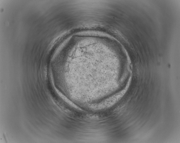 X0000074300640200609151943