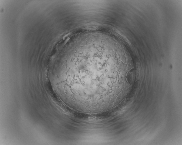 X0000074300641200609151943