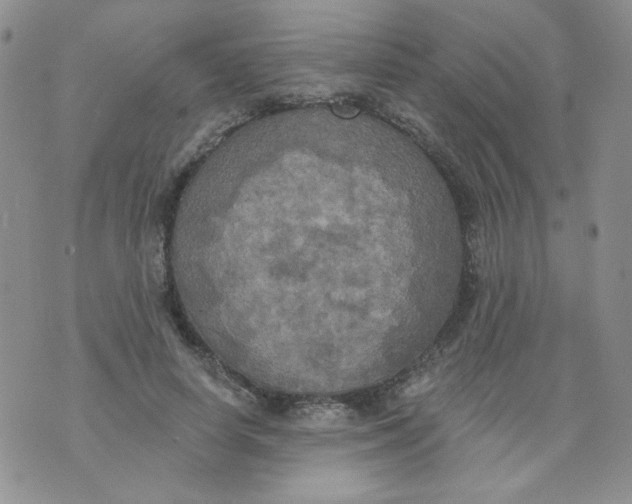 X0000074300642200609151943