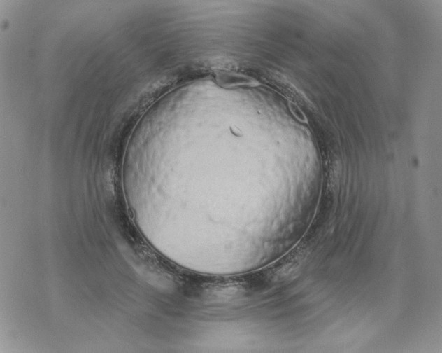 X0000074300643200609151943