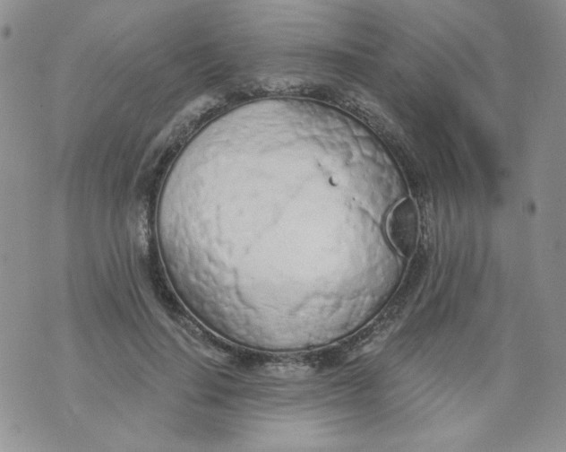 X0000074300644200609151943