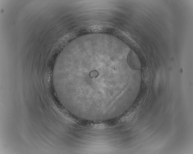 X0000074300645200609151943