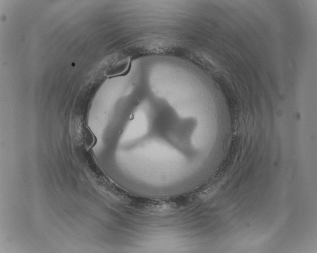 X0000074300646200609151943