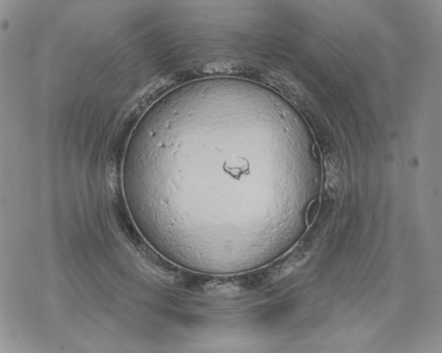 X0000074300648200609151943