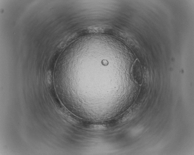 X0000074300649200609151943