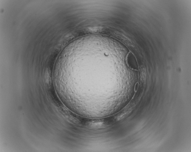 X0000074300651200609151943