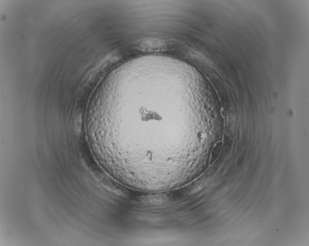 X0000074300652200609151943