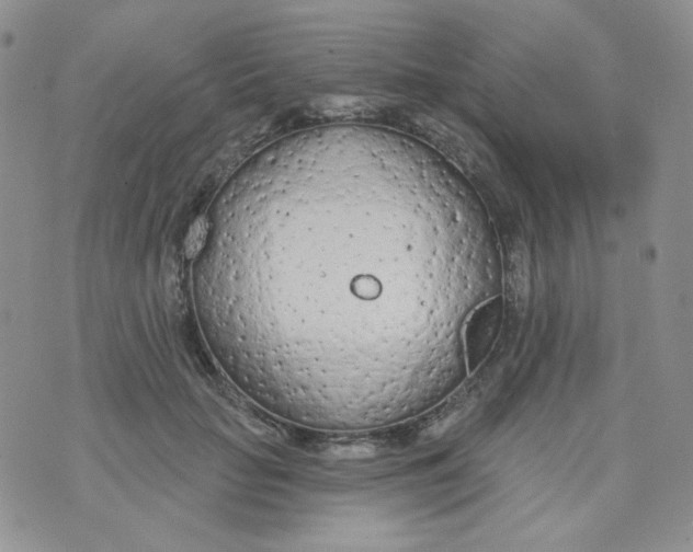 X0000074300653200609151943