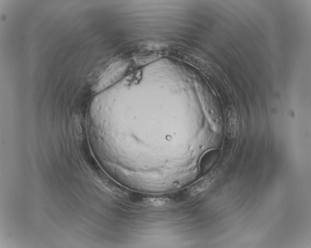 X0000074300654200609151943