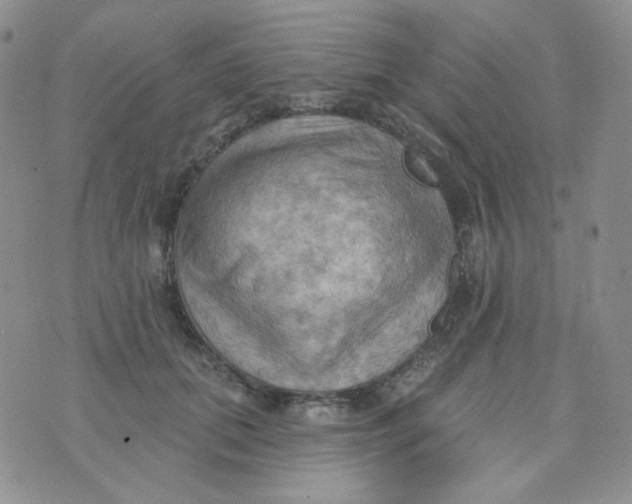 X0000074300655200609151943