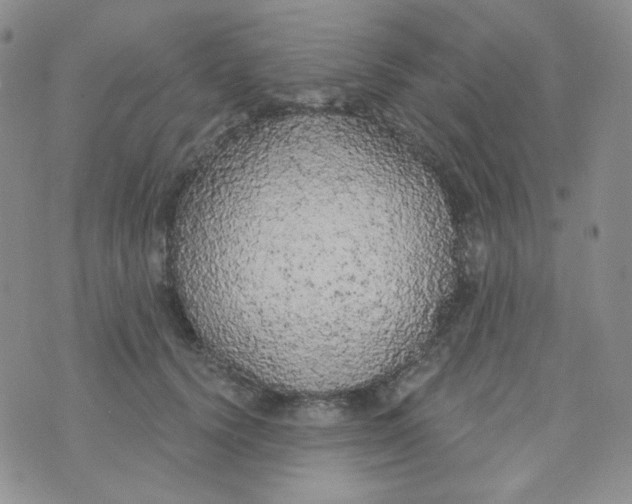 X0000074300656200609151943