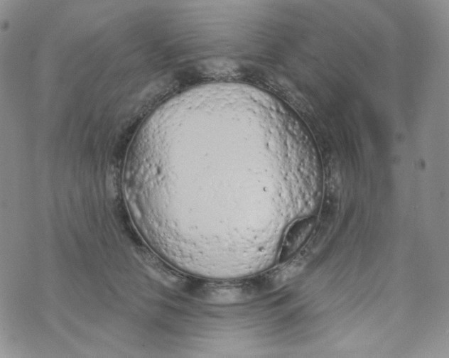 X0000074300658200609151943