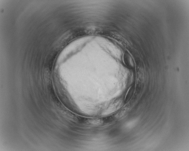 X0000074300659200609151943