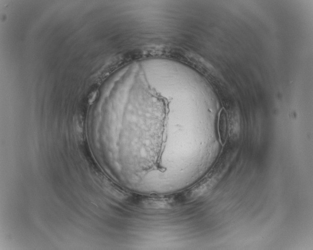 X0000074300661200609151943