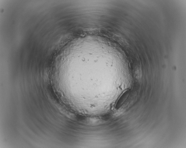 X0000074300662200609151943