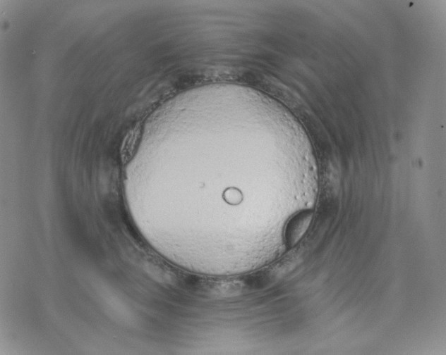 X0000074300663200609151943