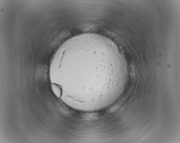 X0000074300664200609151943