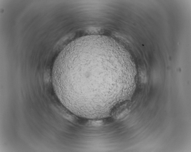 X0000074300665200609151943