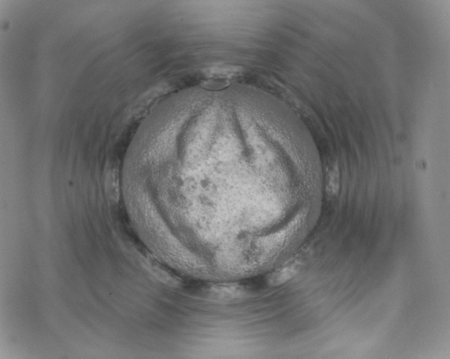 X0000074300666200609151943