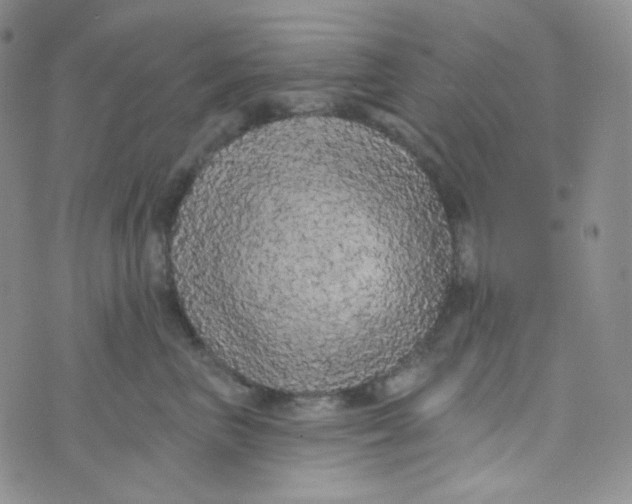 X0000074300667200609151943