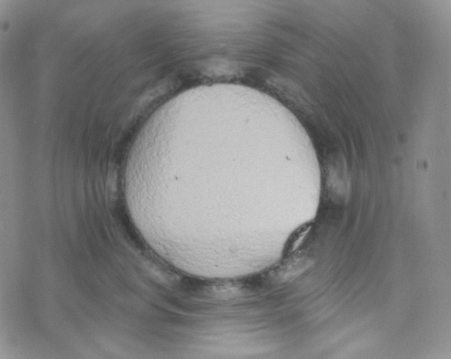 X0000074300668200609151943