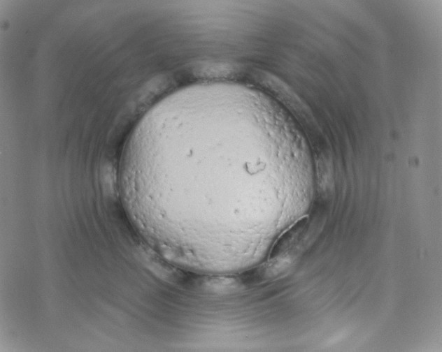 X0000074300669200609151943