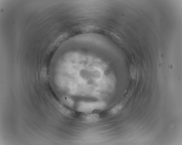 X0000074300670200609151943