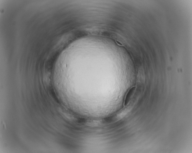 X0000074300671200609151943