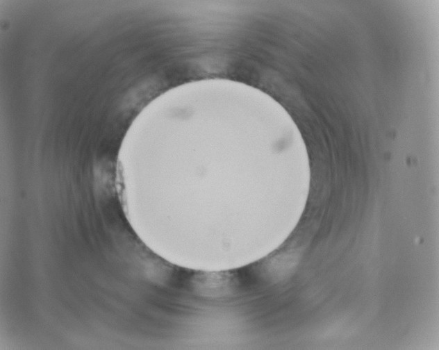 X0000074300672200609151943