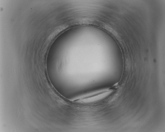 X0000074300673200609151942