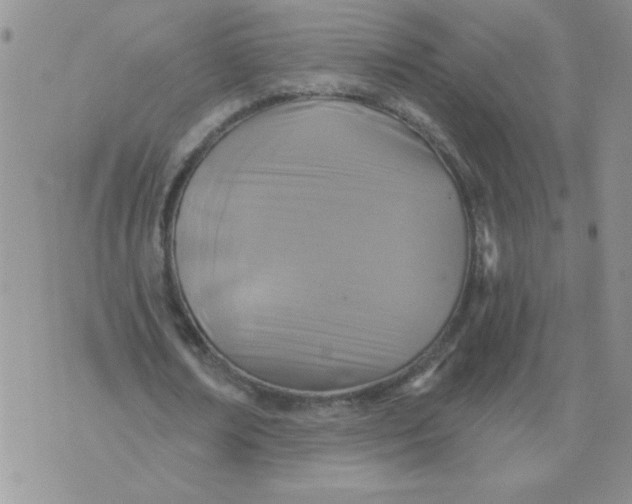 X0000074300674200609151942