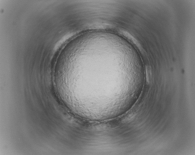 X0000074300675200609151942